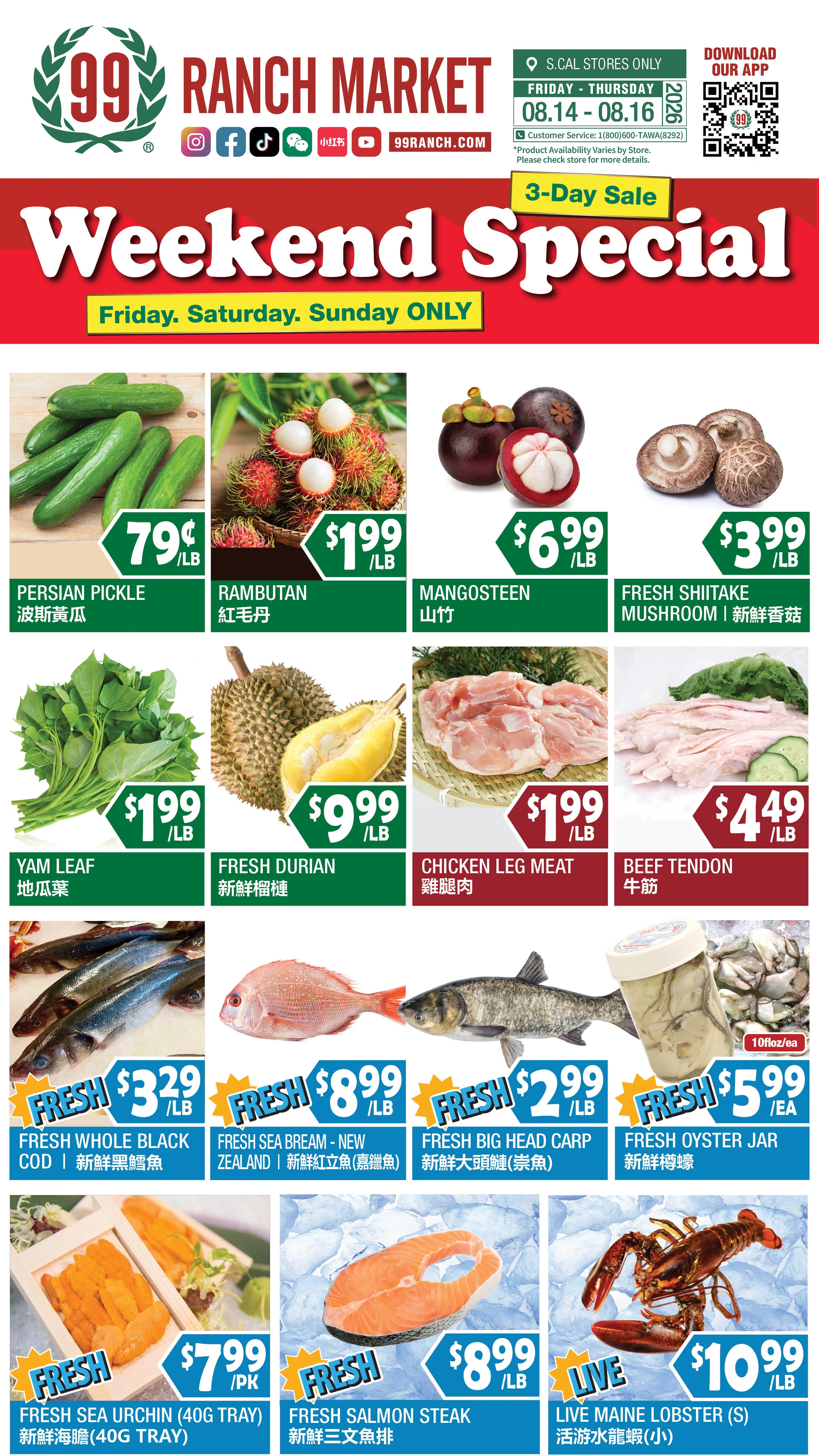Flyer page 2