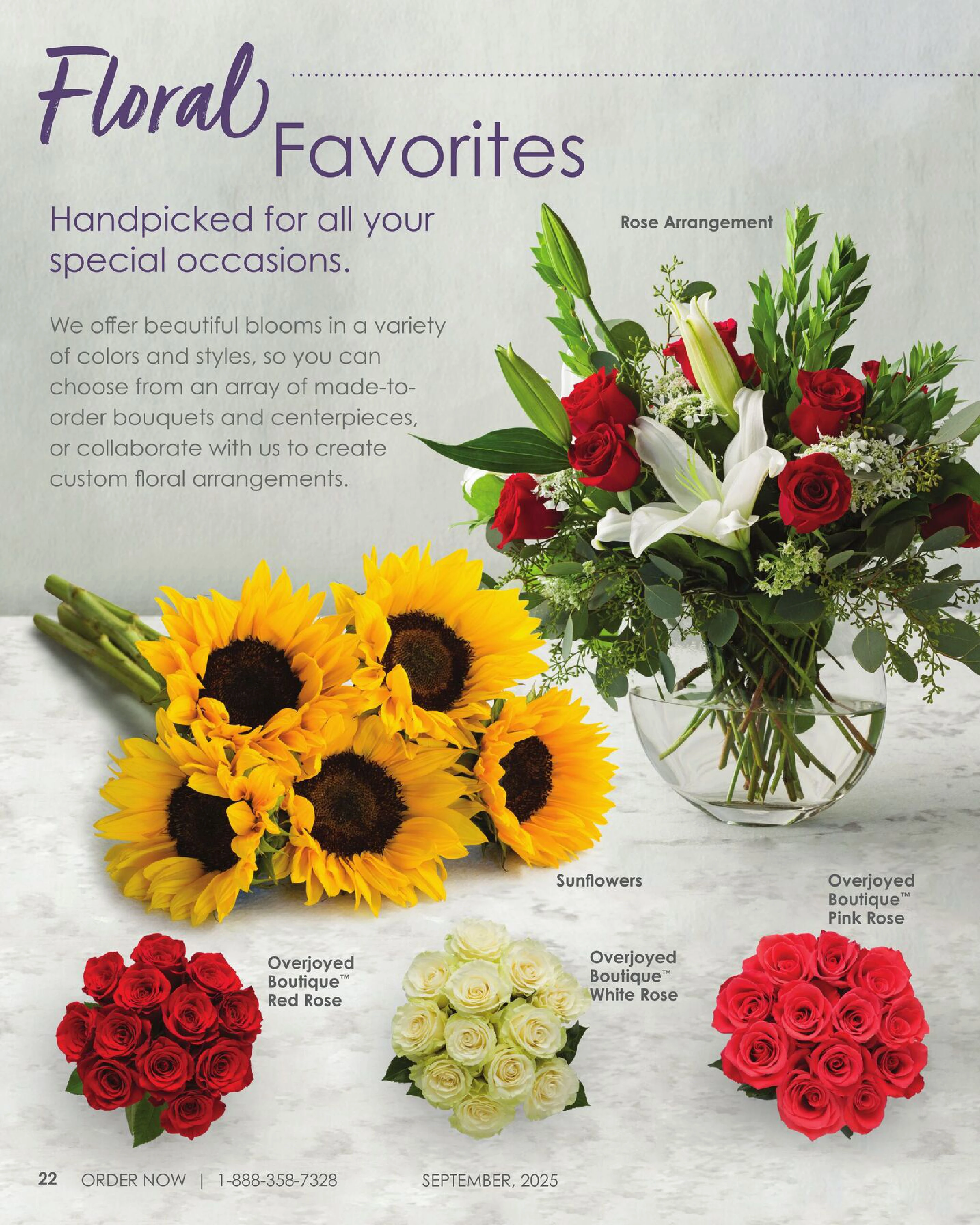 Flyer page 24