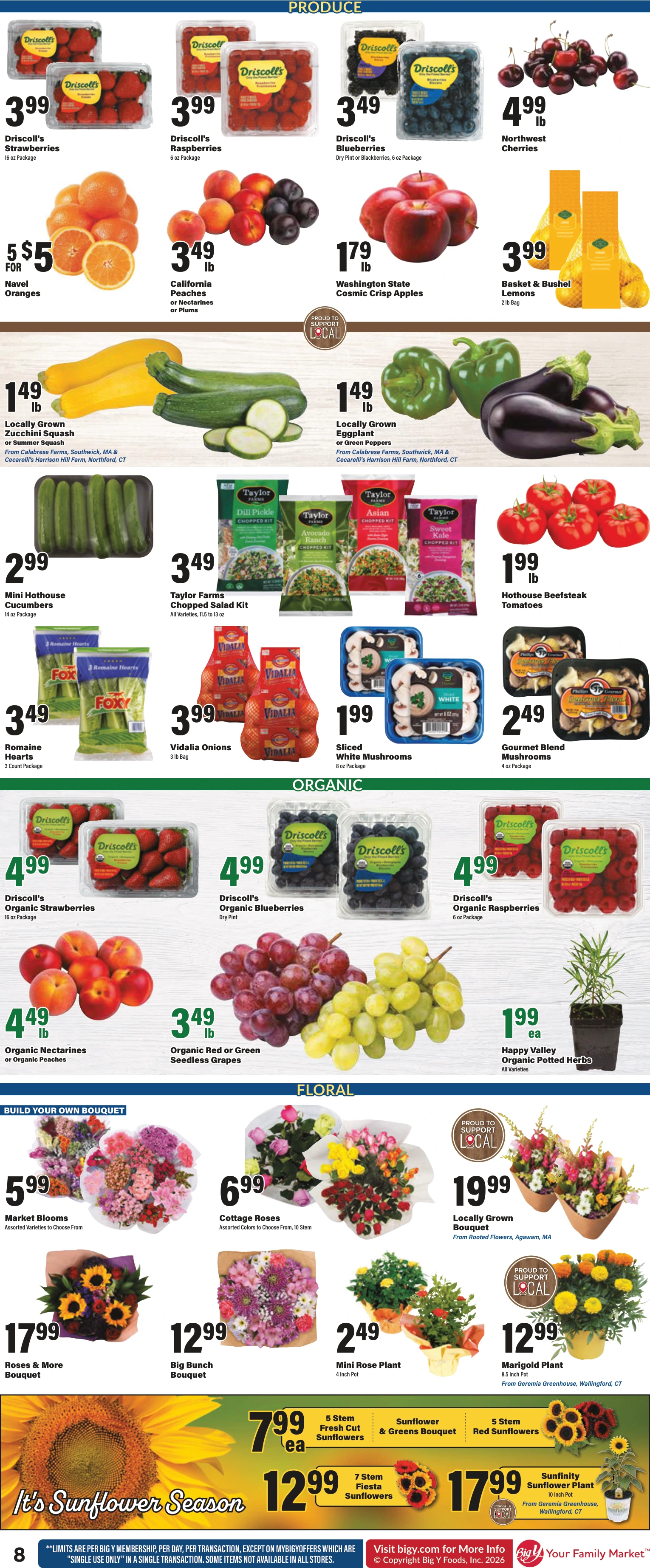 Flyer page 10