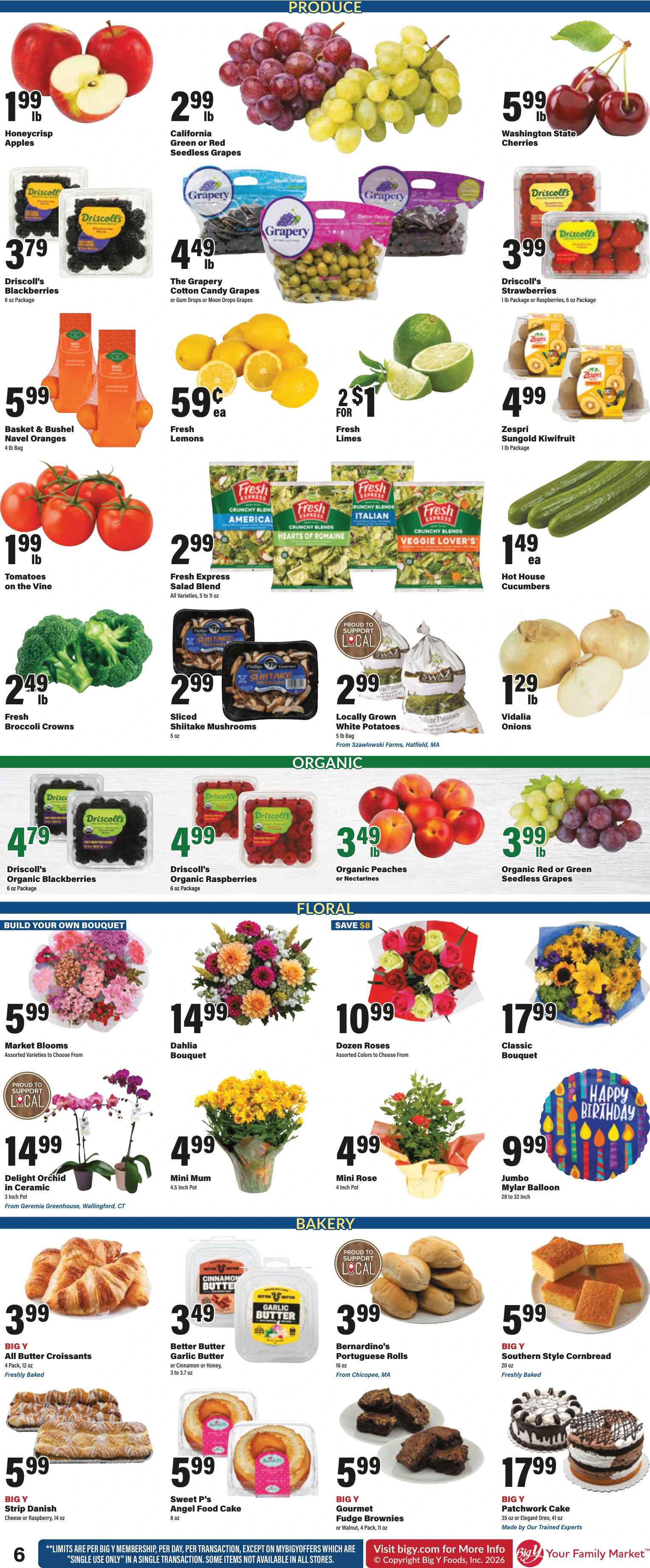 Flyer page 9