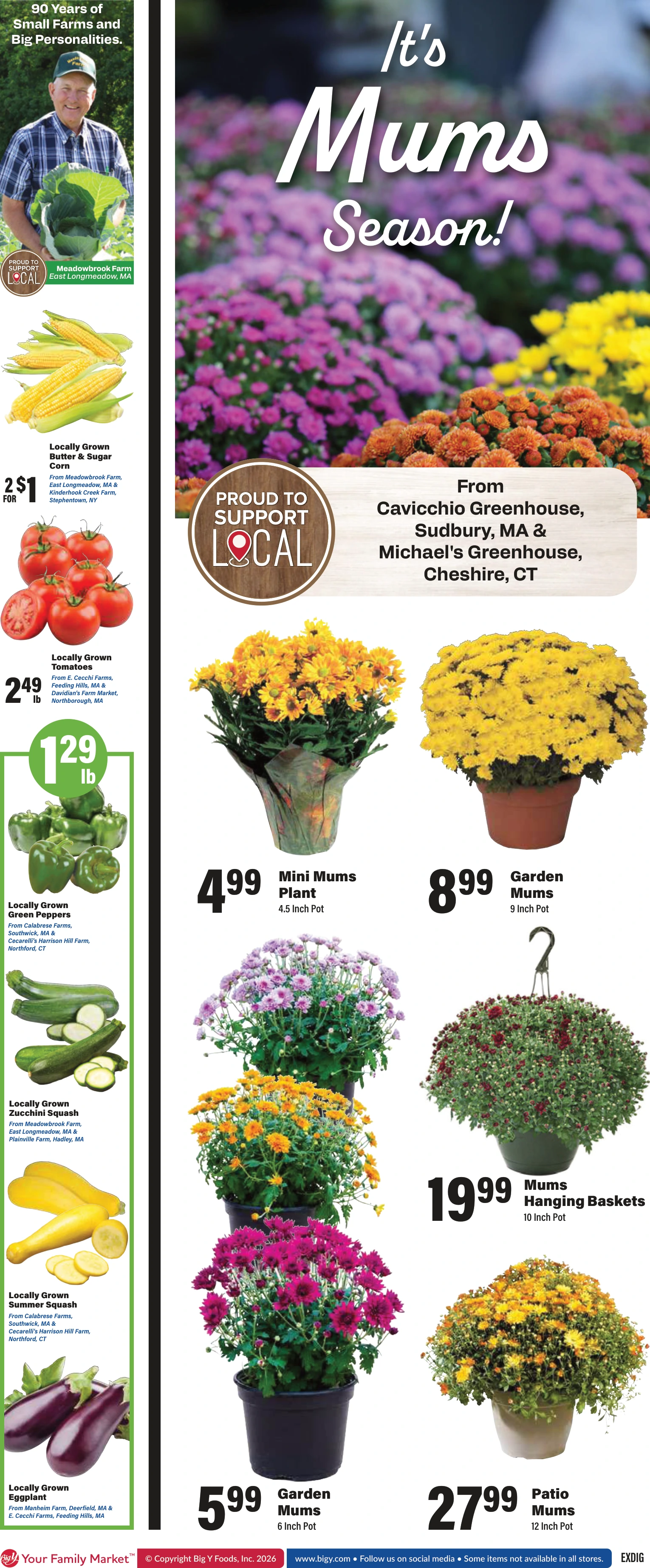 Flyer page 2