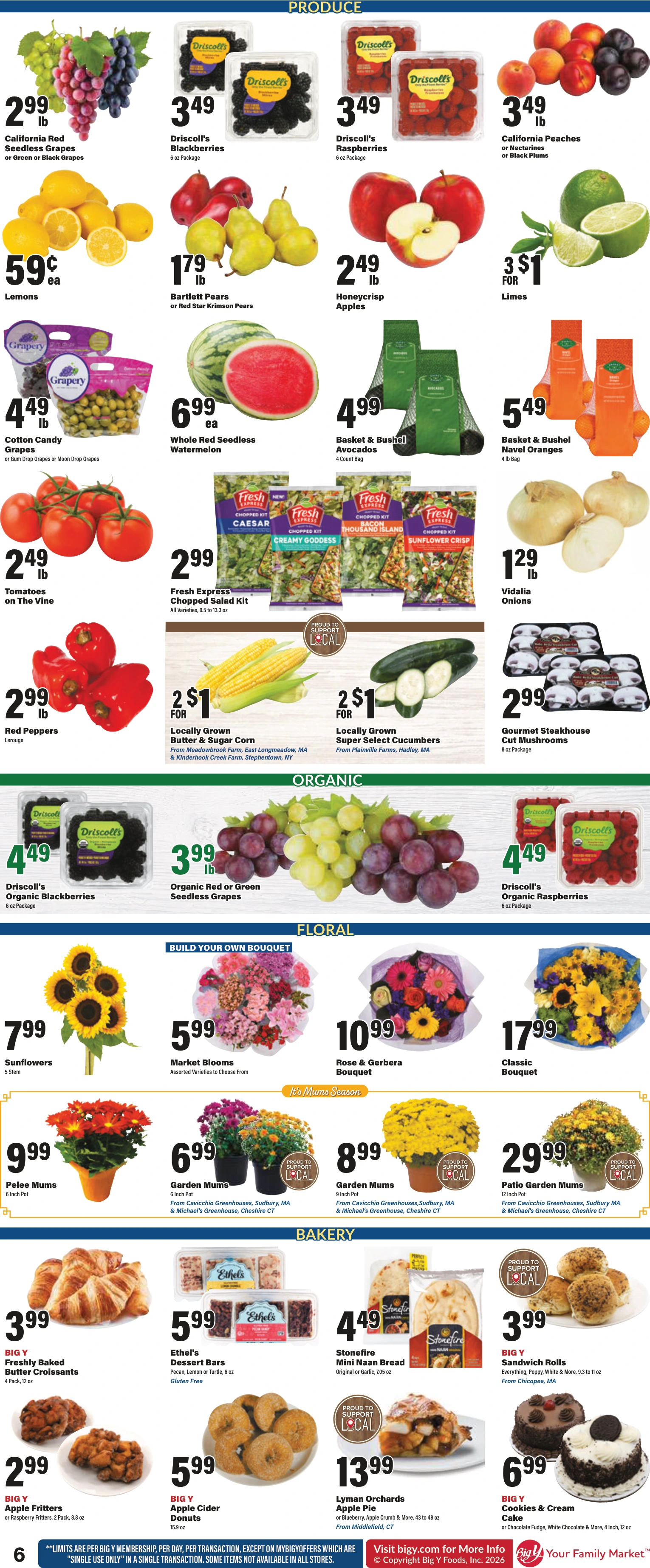 Big Y Weekly Ad - Page 9