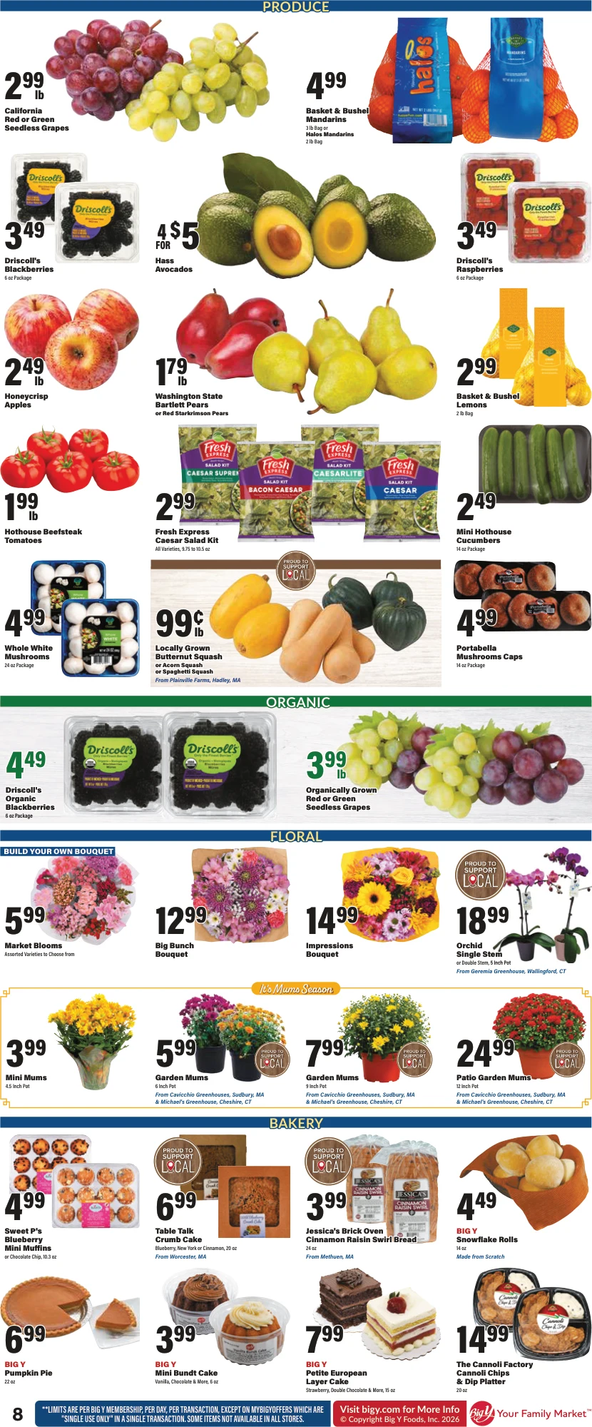 Big Y Weekly Ad - Page 13