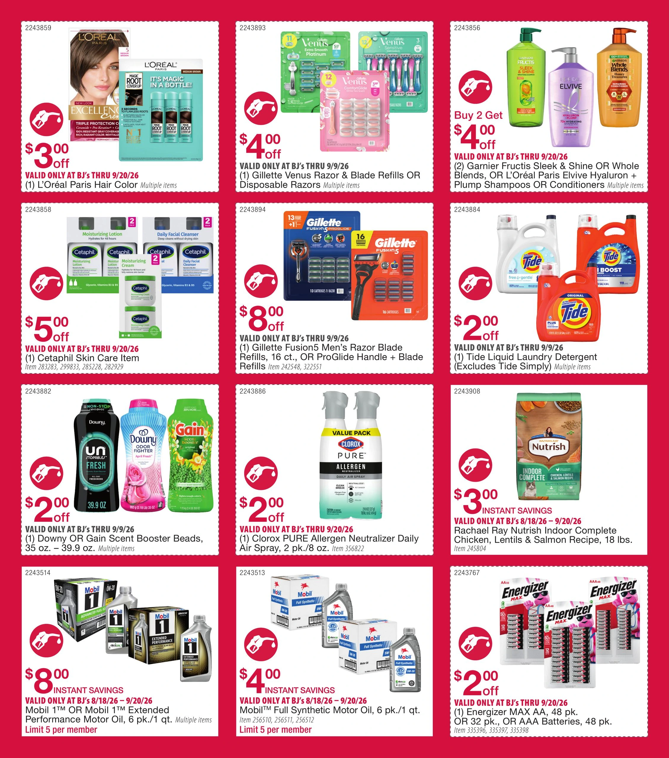 Flyer page 6