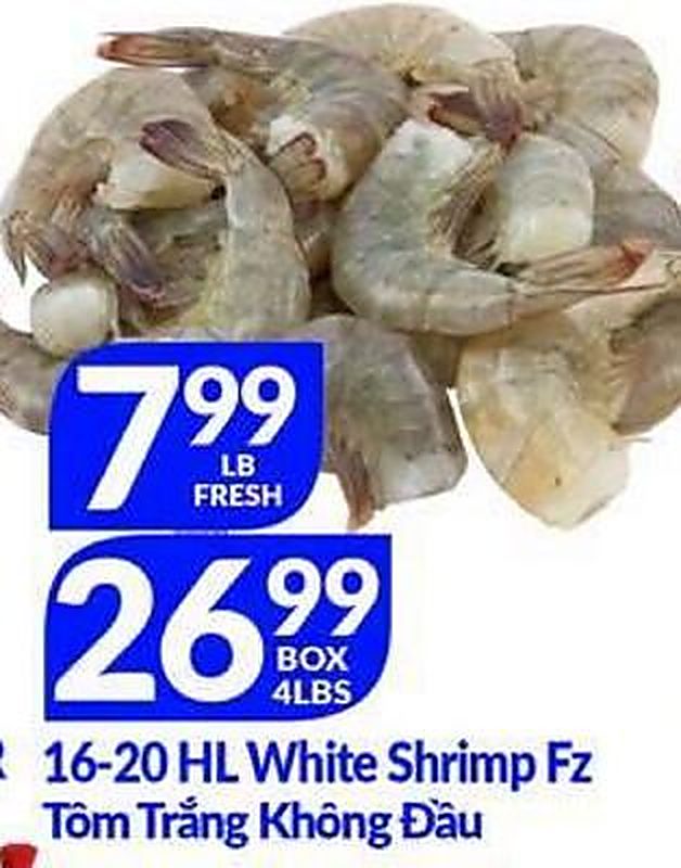 16-20 HL White Shrimp Fz - Lams Seafood Market weekly ad deal