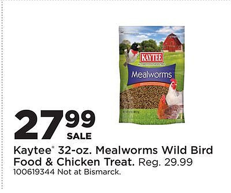 Kaytee® 32-oz. Mealworms Wild Bird Food & Chicken Treat - Fleet Farm weekly ad deal