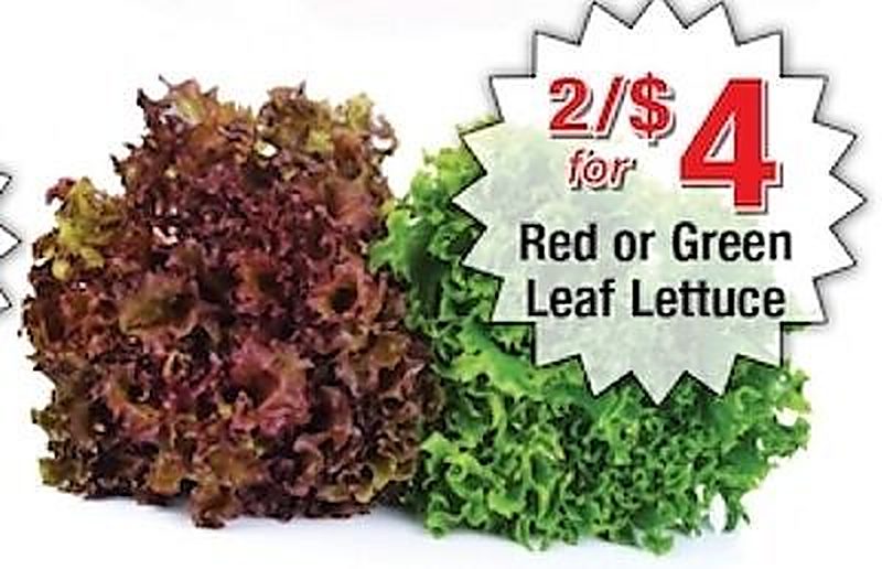 Red or Green Leaf Lettuce - Harvest Foods weekly ad deal