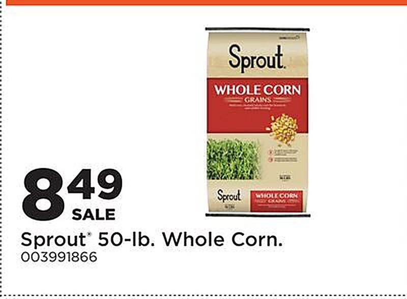 Sprout® 50-lb. Whole Corn. - Fleet Farm weekly ad deal
