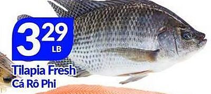 Tilapia Fresh - Lams Seafood Market weekly ad deal