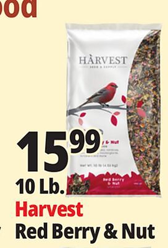 10 Lb. Harvest Red Berry & Nut - Ocean State Job Lot weekly ad deal