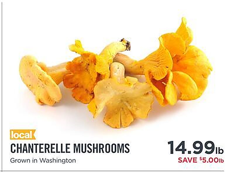 CHANTERELLE MUSHROOMS - Metropolitan Market weekly ad deal