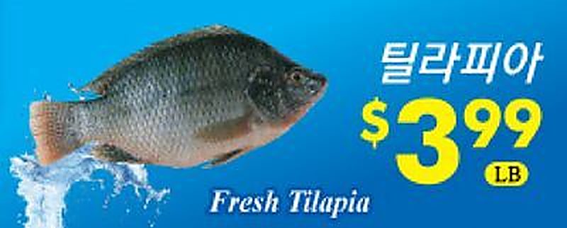 Fresh Tilapia - Global Food weekly ad deal