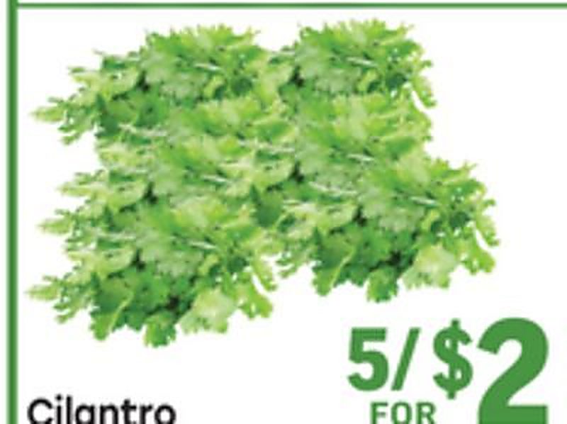 Cilantro - Tony's Fresh Market weekly ad deal