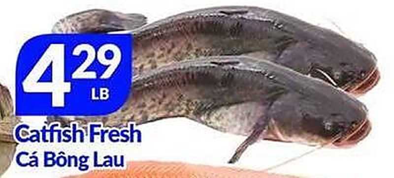 Catfish Fresh - Lams Seafood Market weekly ad deal