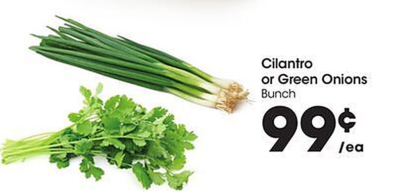 Cilantro or Green Onions - Foods Co weekly ad deal