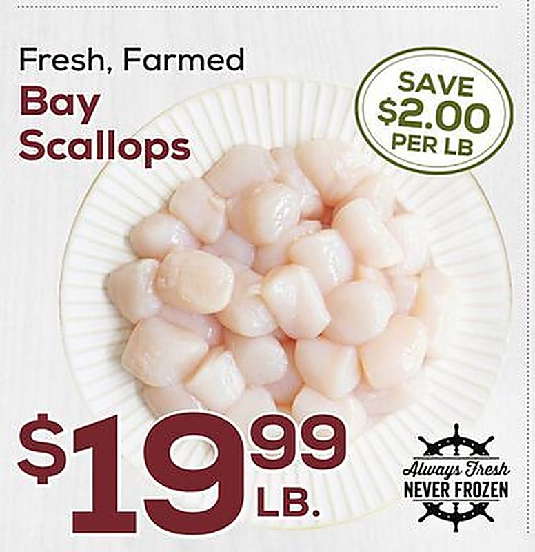 Bay Scallops - DeCicco & Sons weekly ad deal