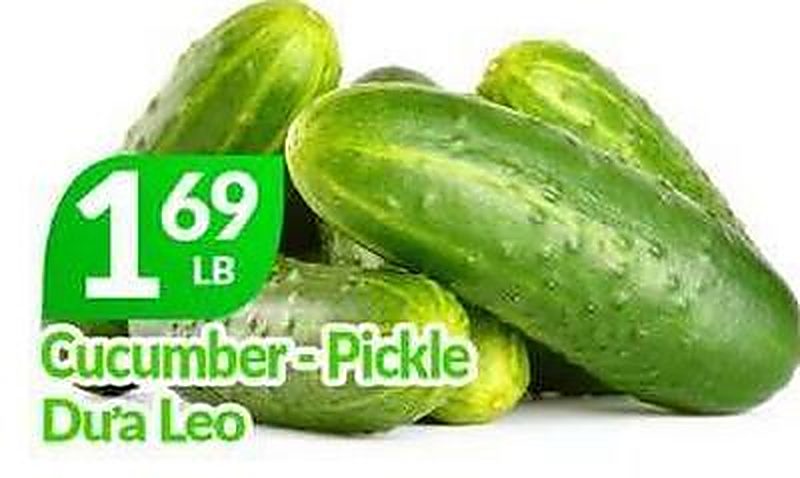 Cucumber - Pickle - Lams Seafood Market weekly ad deal