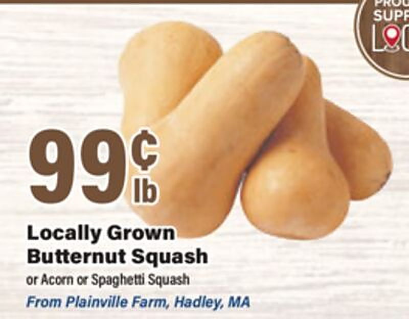 Locally Grown Butternut Squash or Acorn or Spaghetti Squash - Big Y weekly ad deal