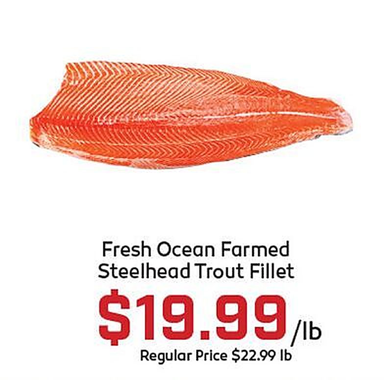 Fresh Ocean Farmed Steelhead Trout Fillet - Gus's Market weekly ad deal
