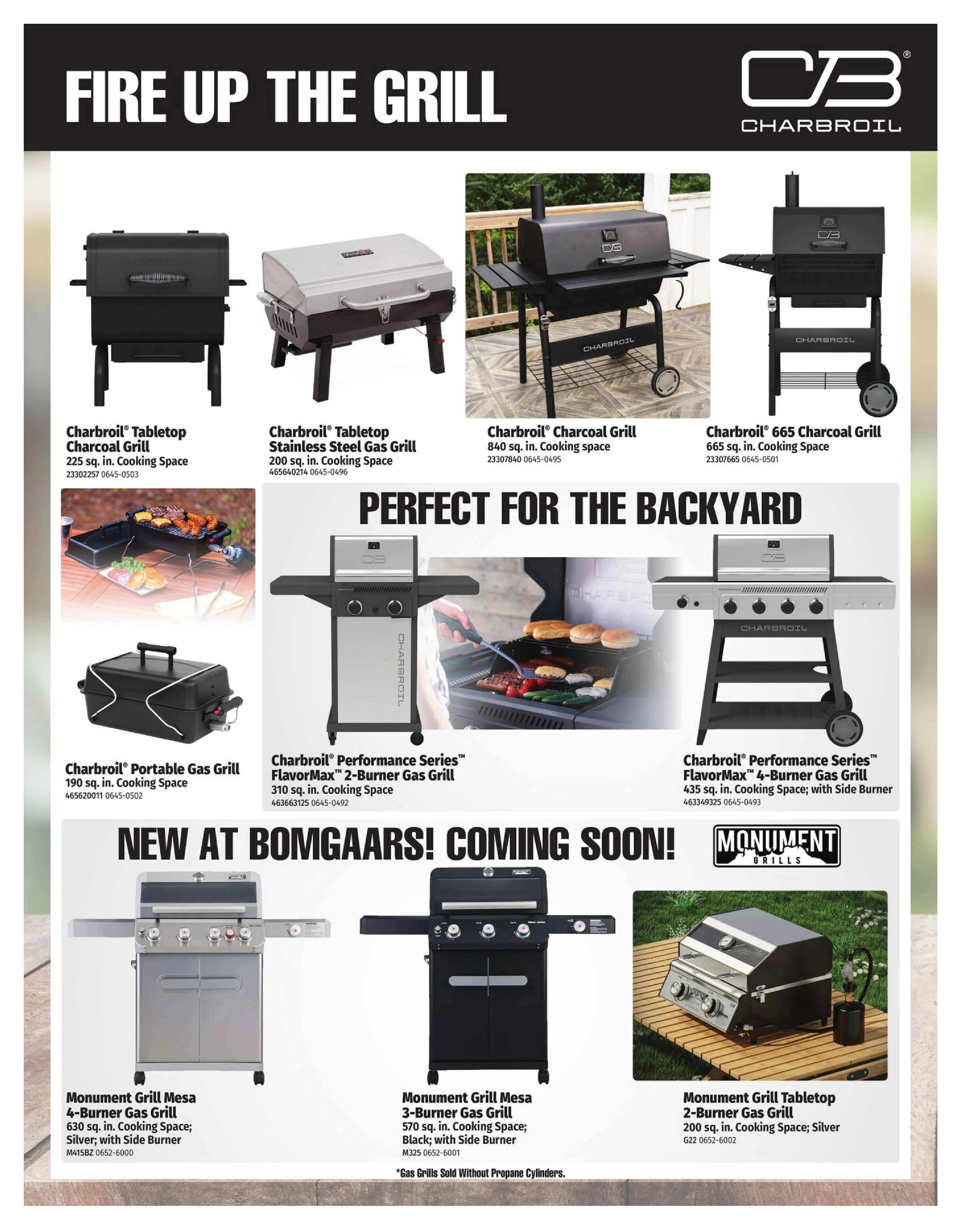 Flyer page 2