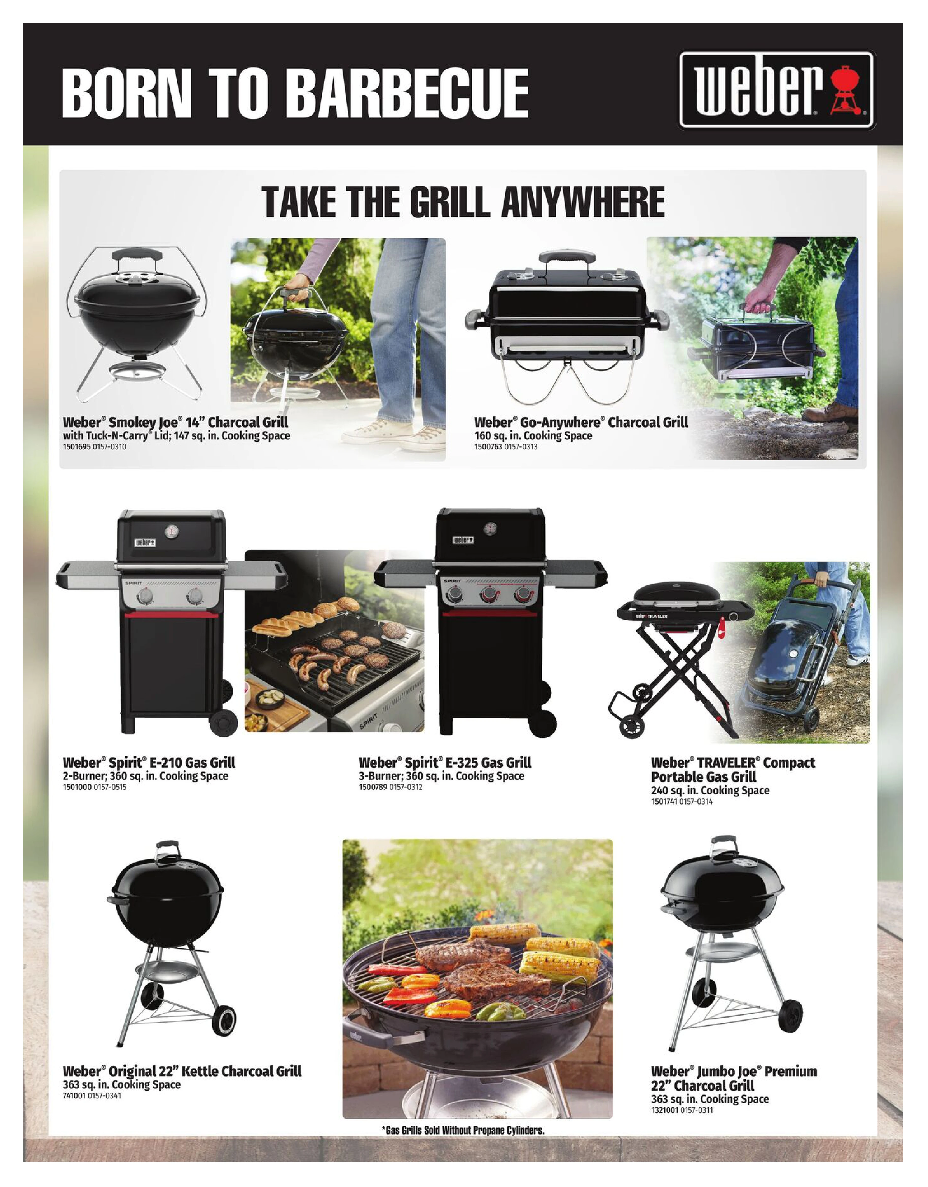 Flyer page 3