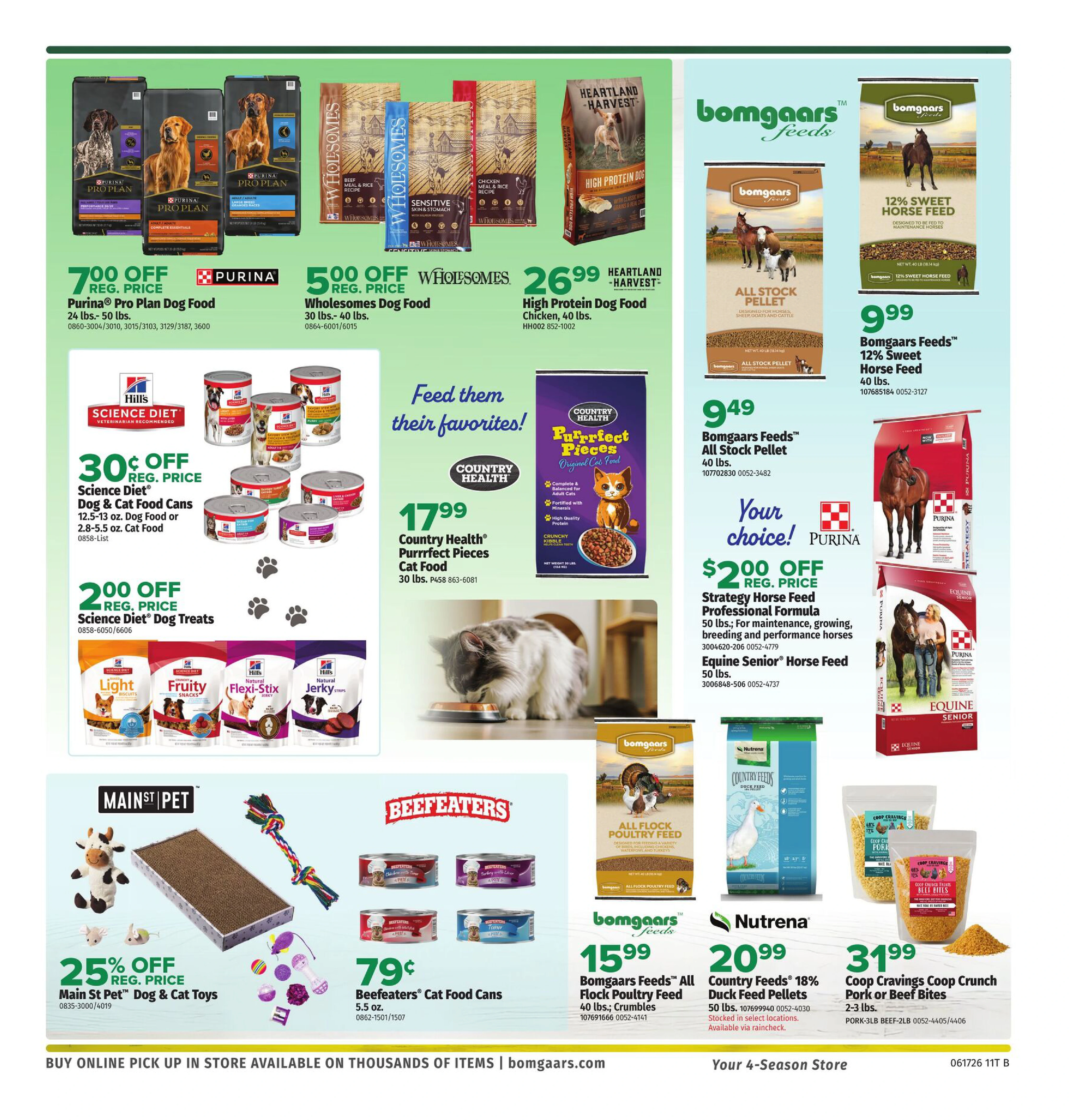 Flyer page 11