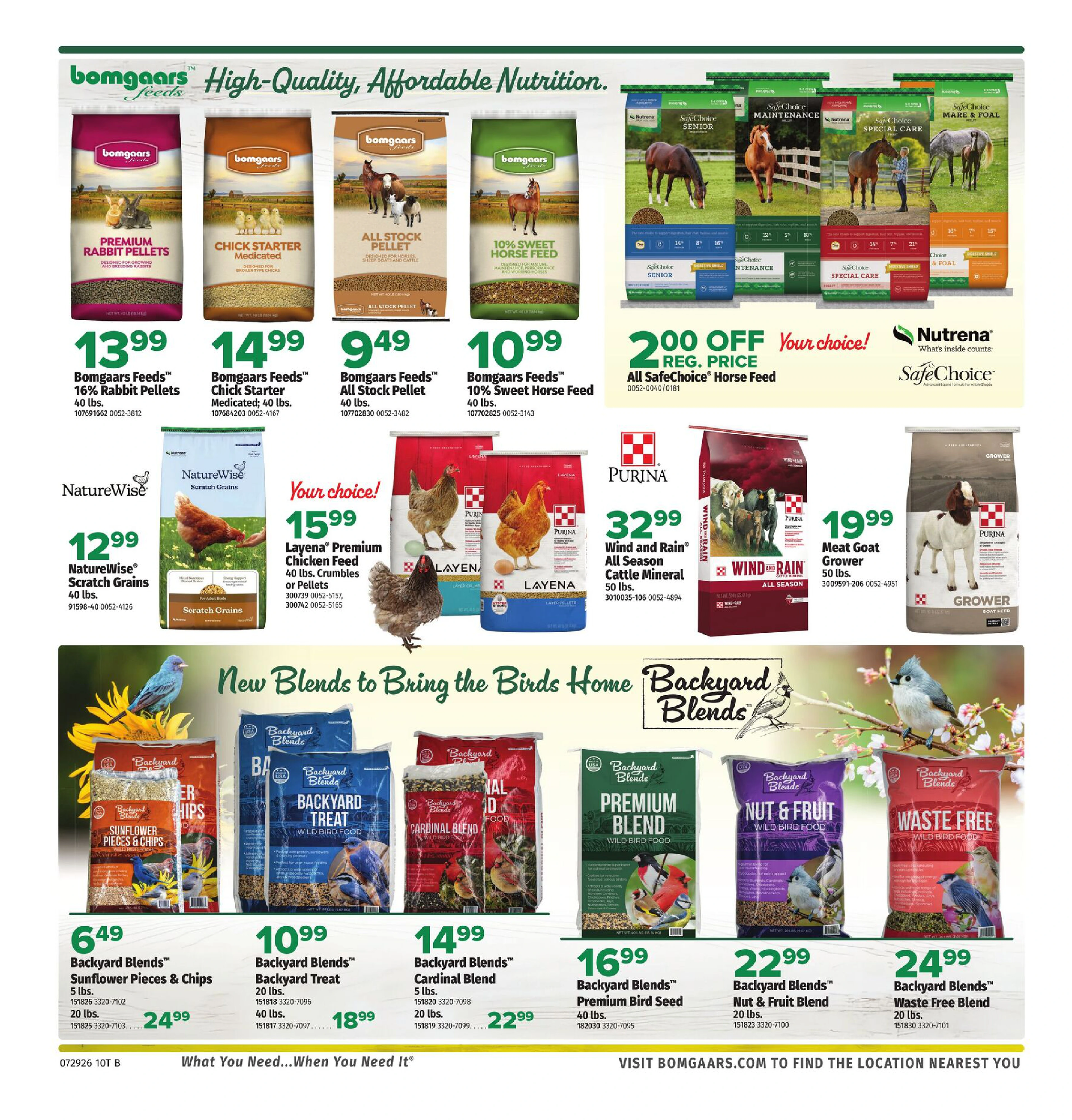 Flyer page 10