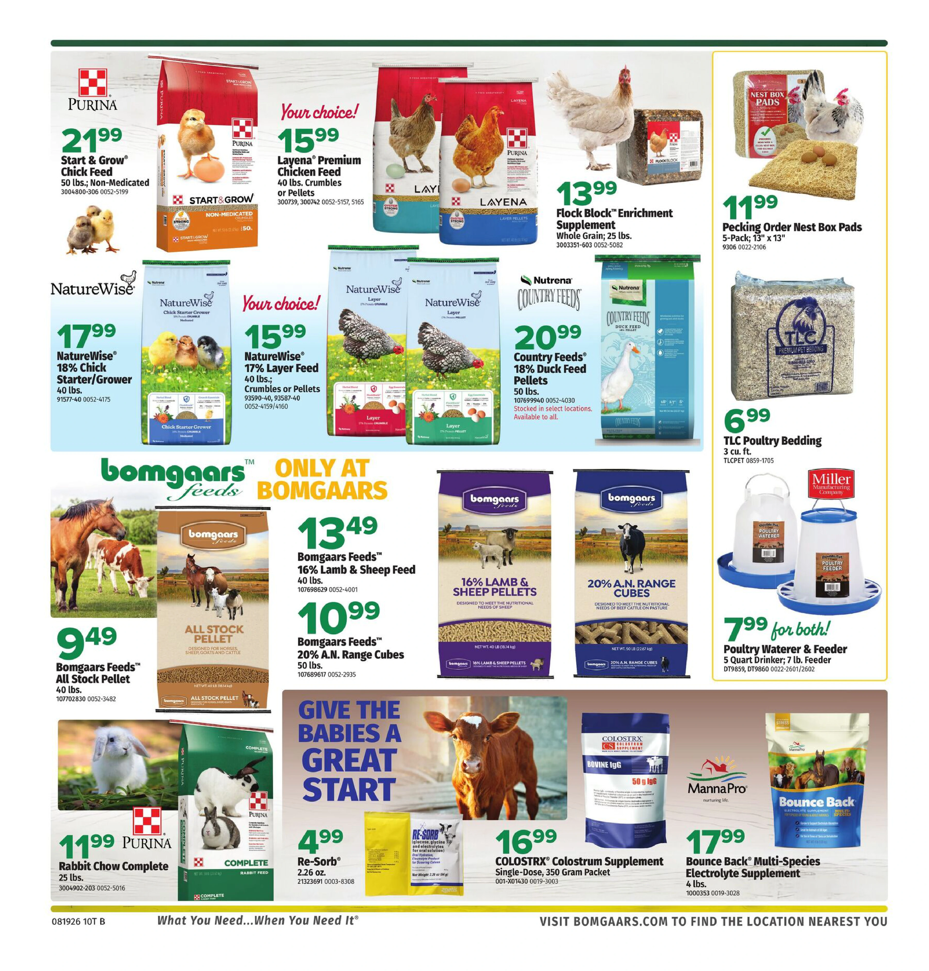 Flyer page 10
