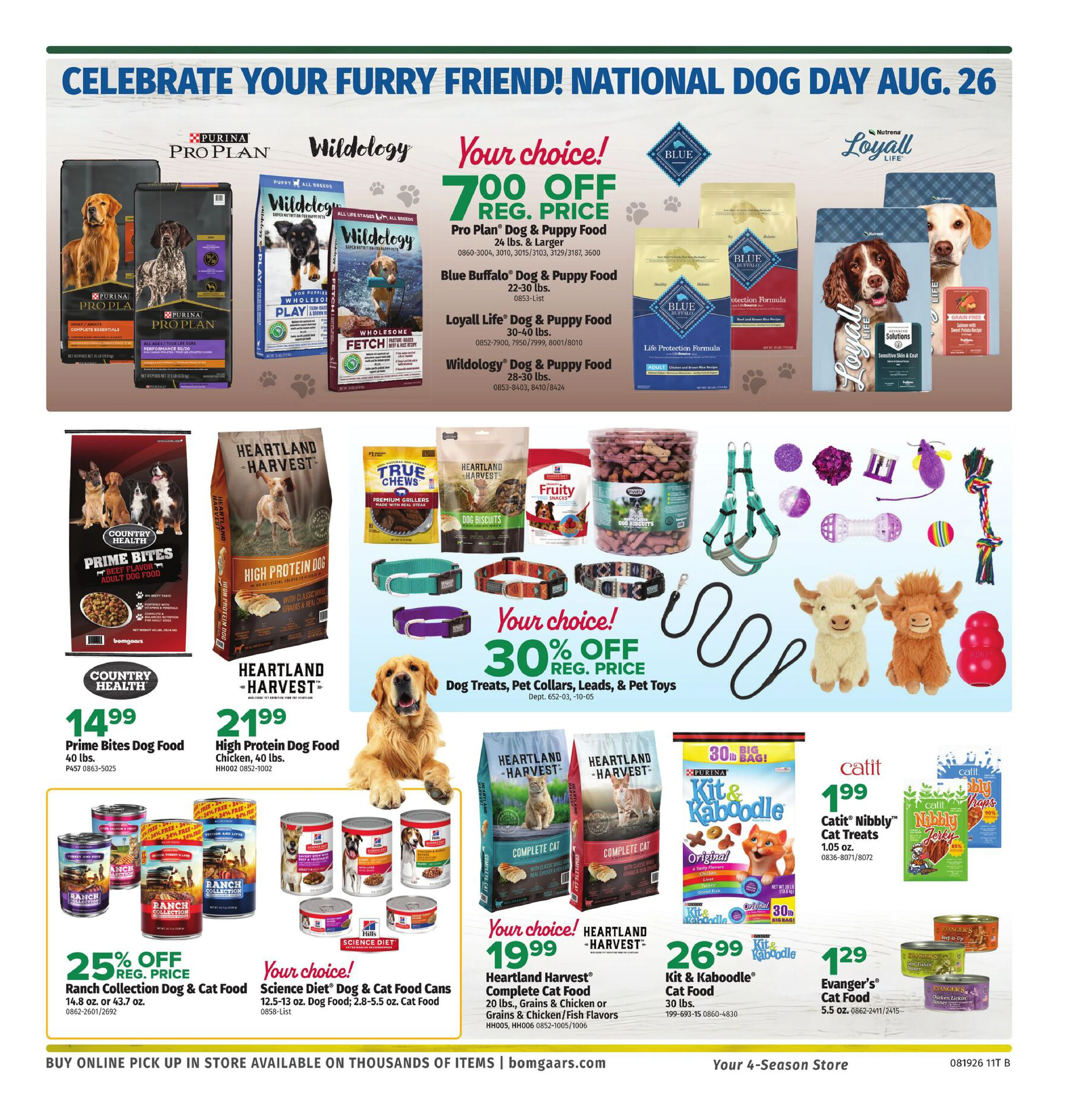 Flyer page 11
