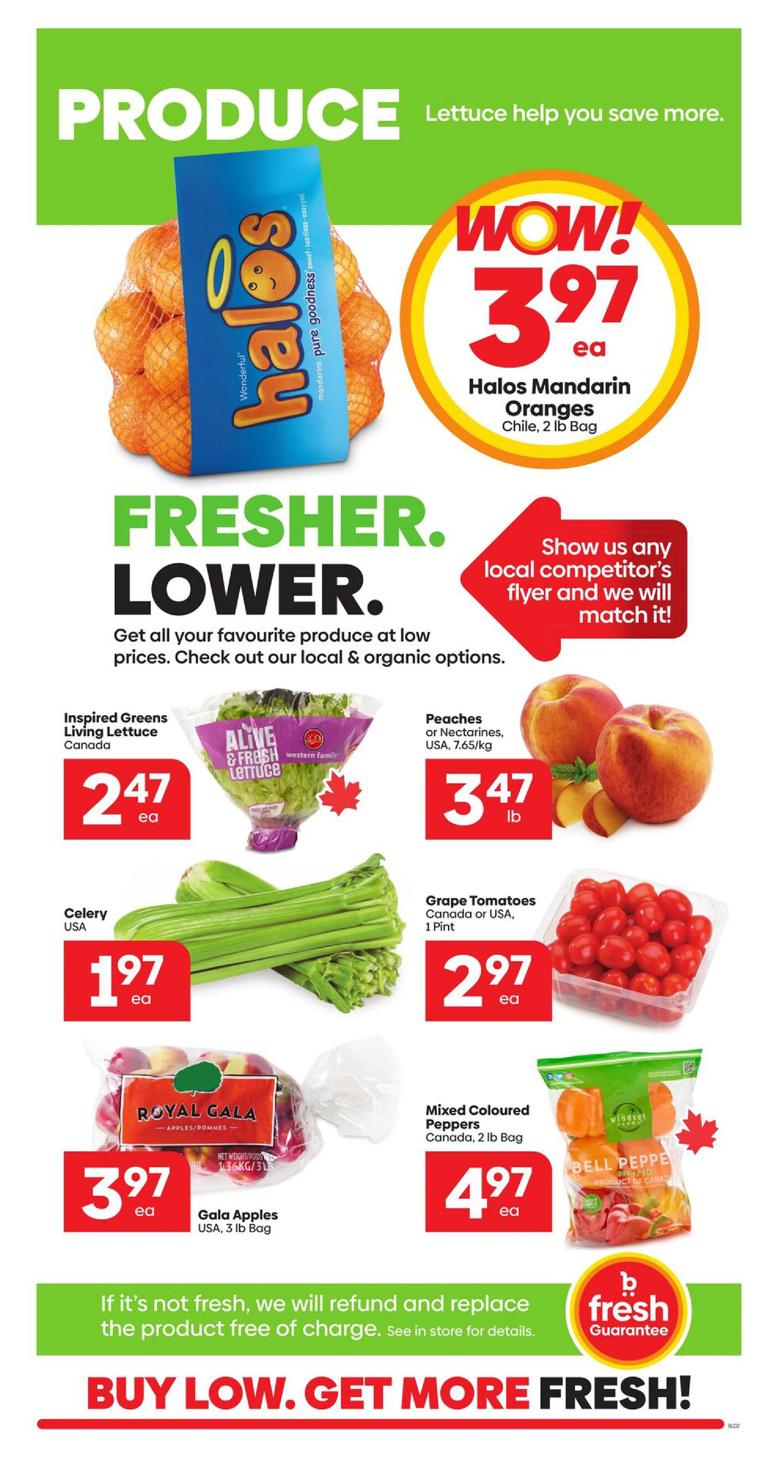 Flyer page 2