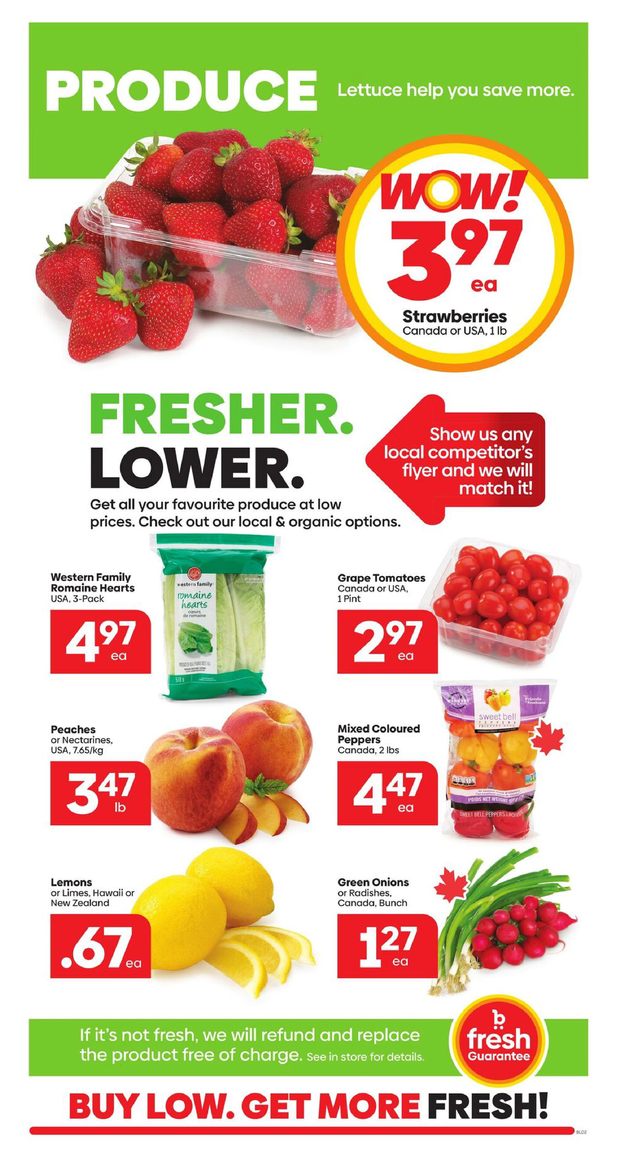 Flyer page 2