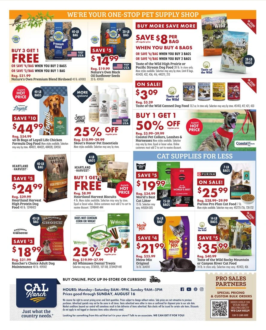 Flyer page 2