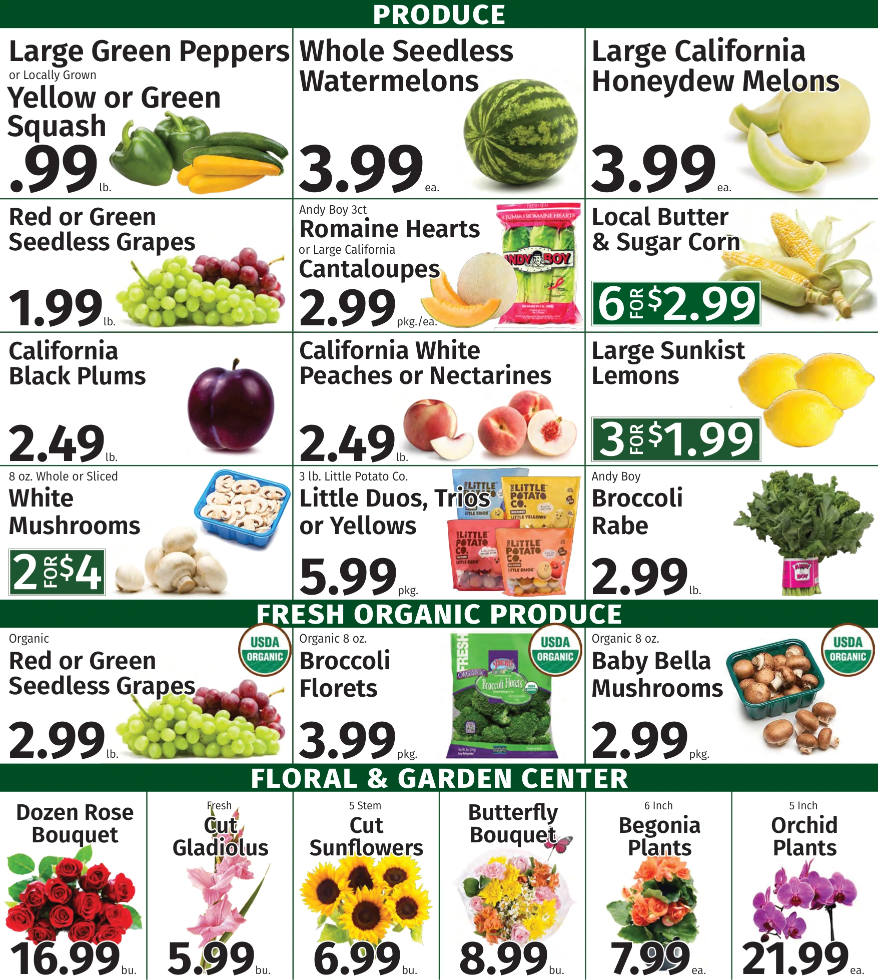 Flyer page 4