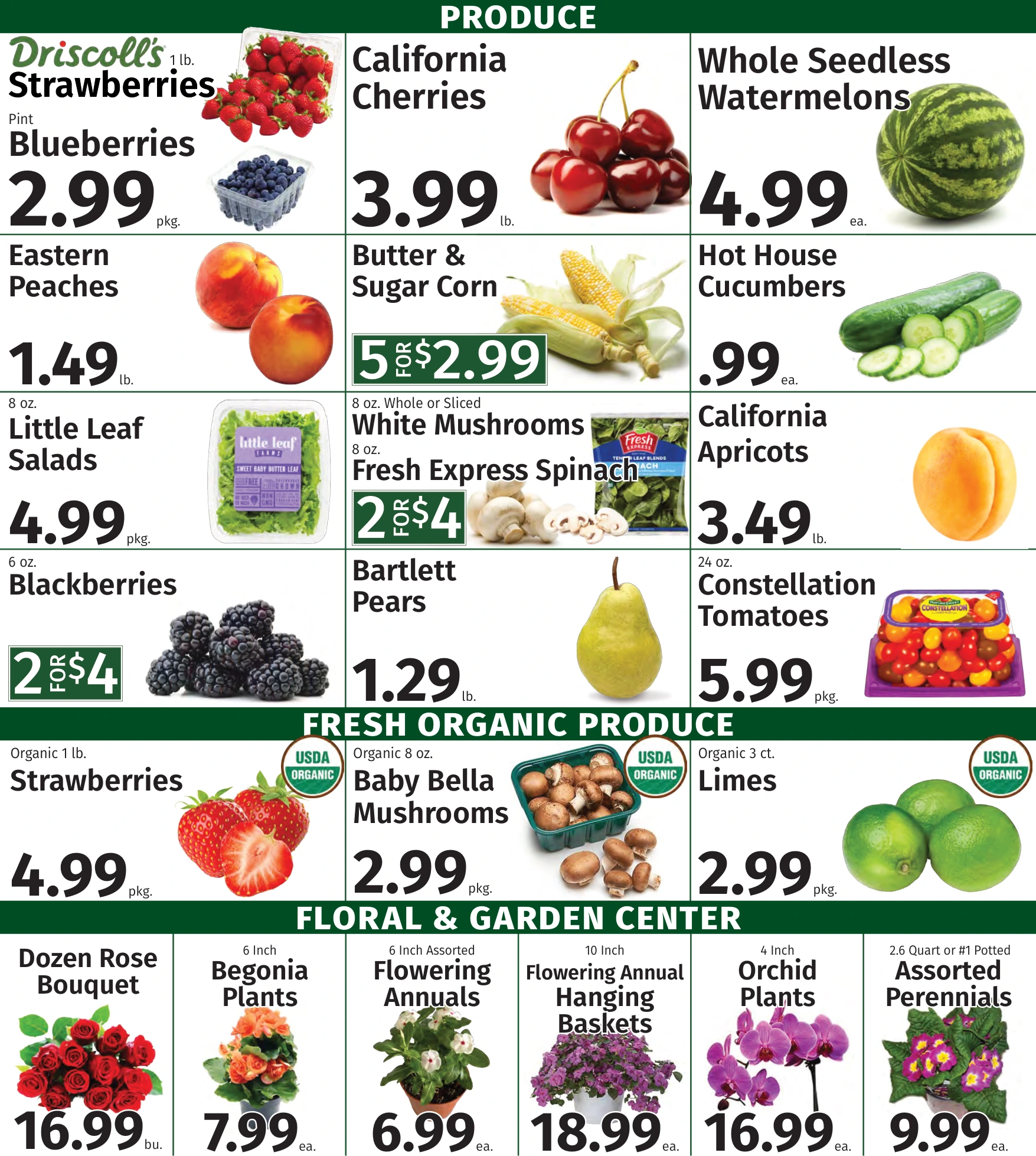 Flyer page 4