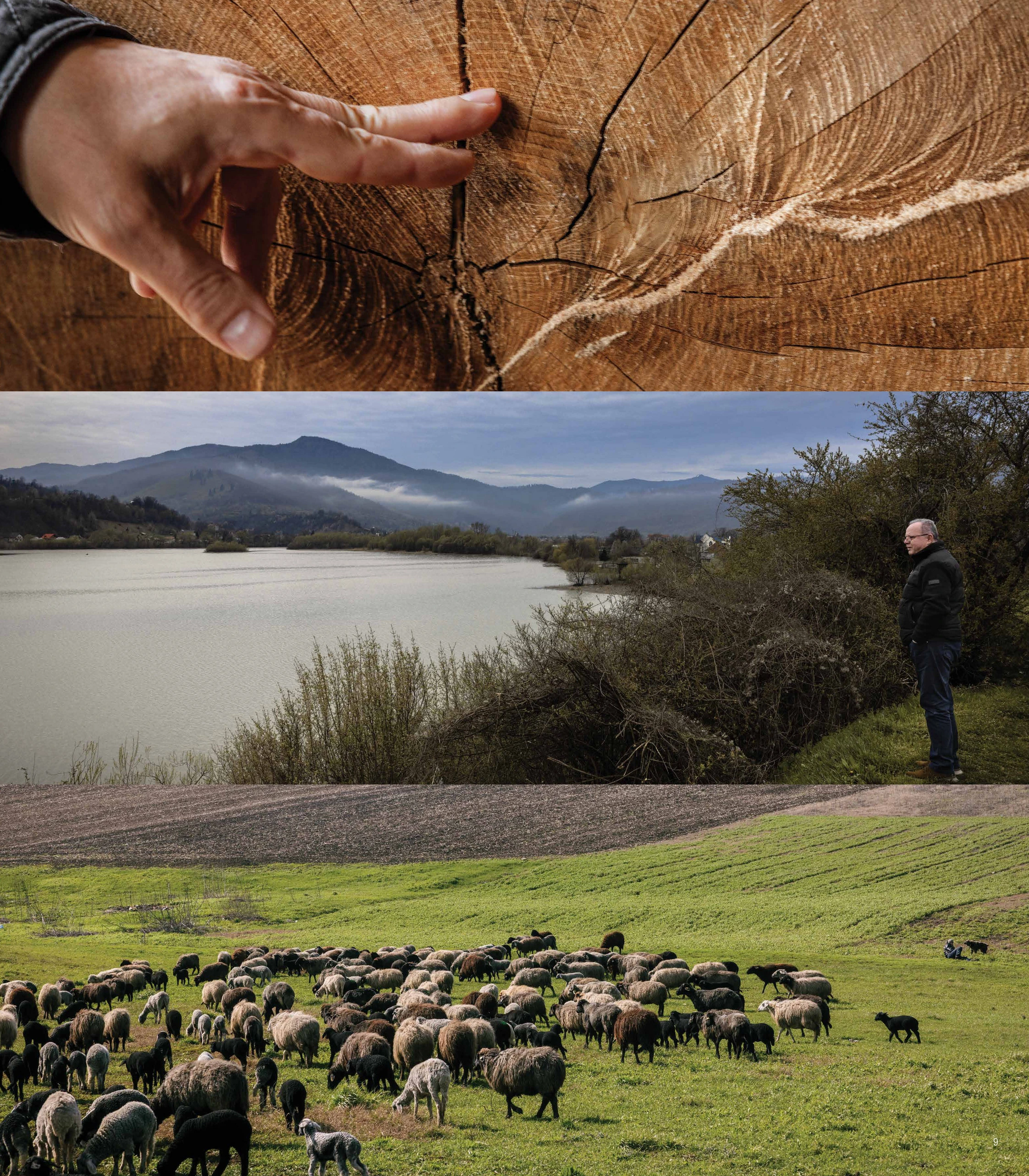 Arhaus Arhaus Fall 2025 Catalog - Page 9