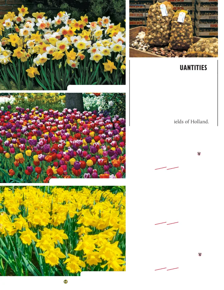 Breck's Breck's Fall 2026 Catalog - Page 56