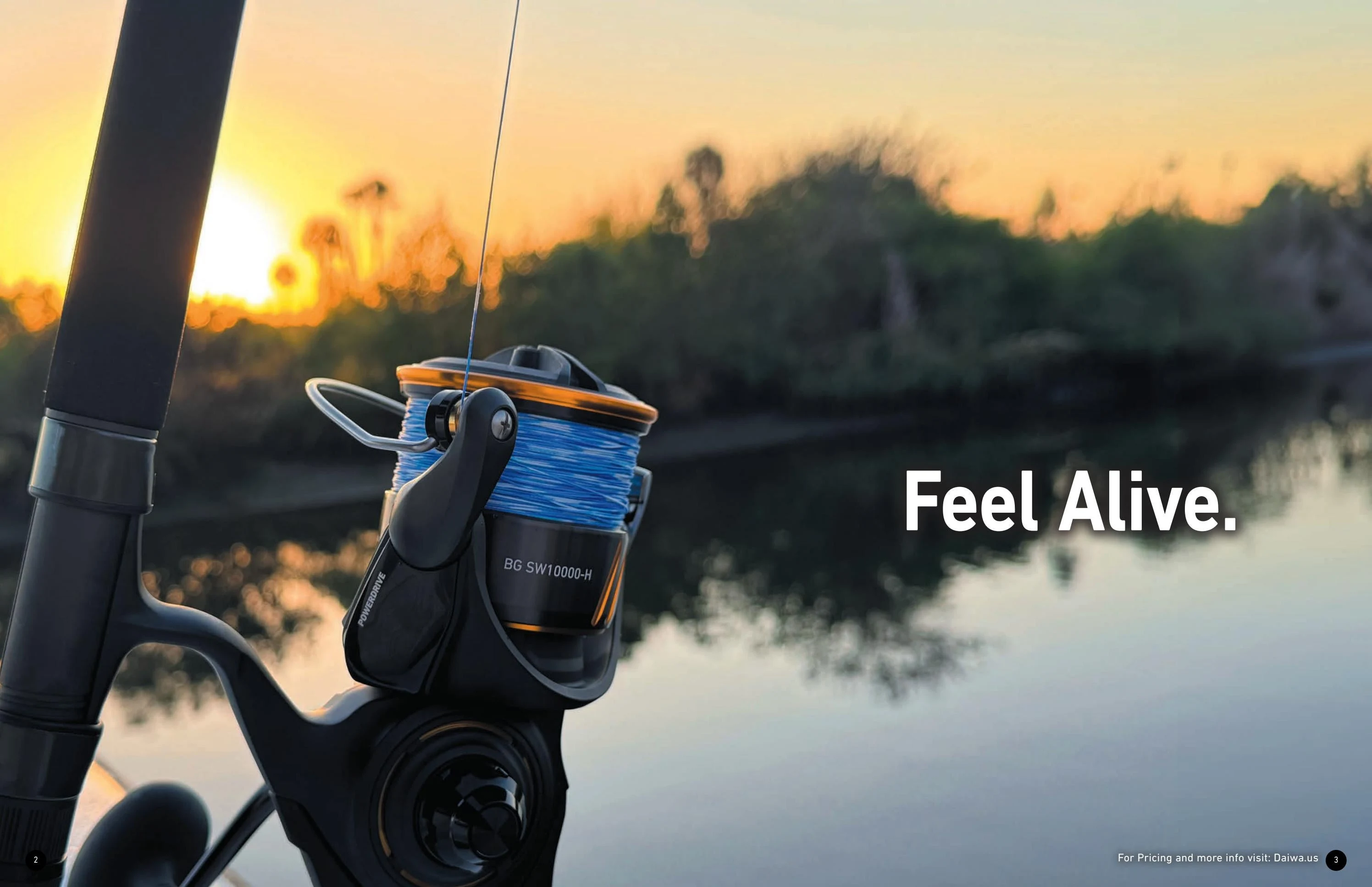 Daiwa US Catalog - Page 2