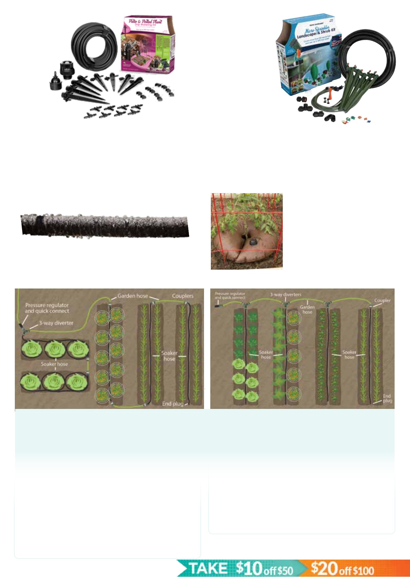 Gardener's Edge Gardener's Edge March 2026 Digital Catalog - Page 31