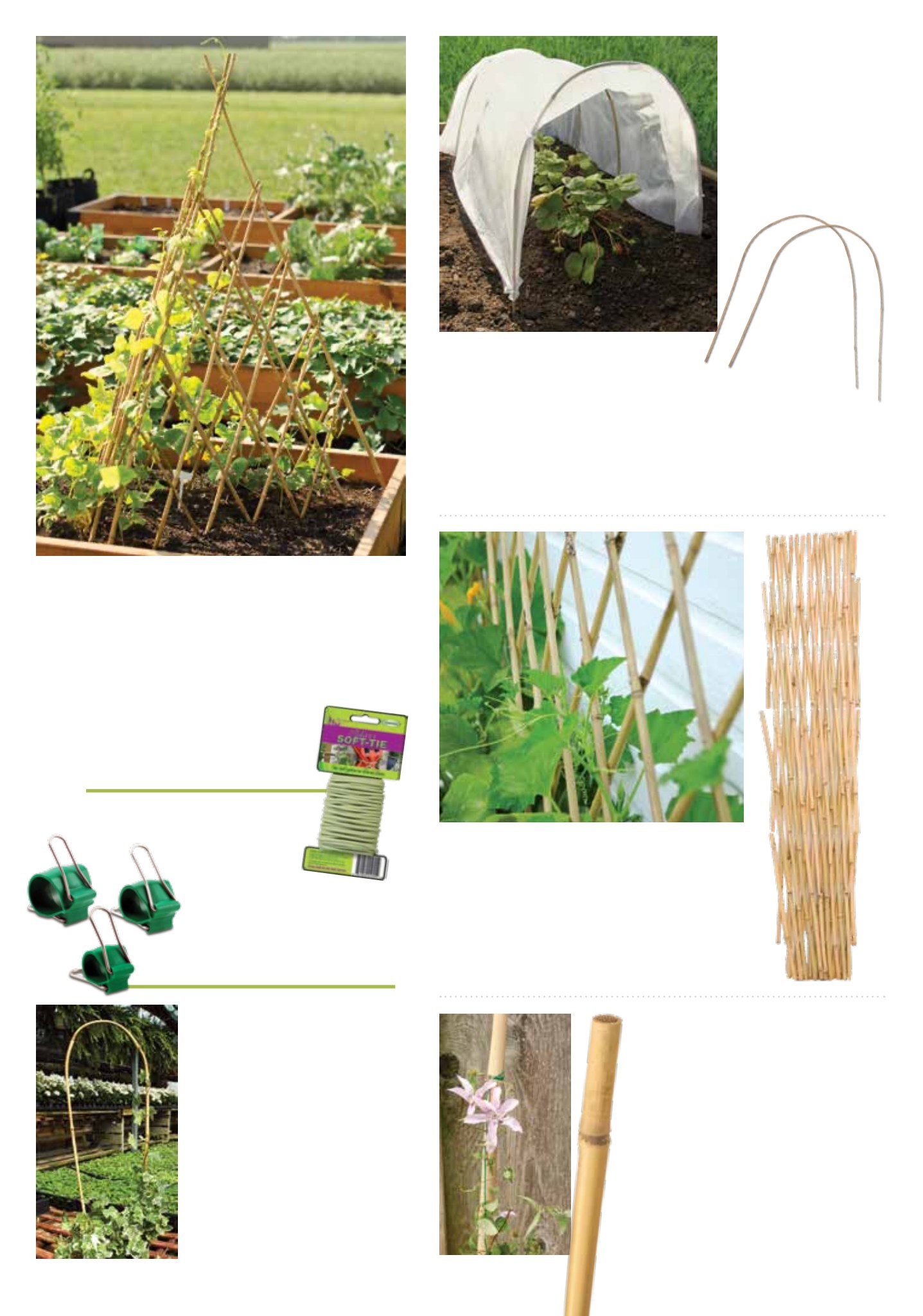 Gardener's Edge Gardener's Edge February 2026 Digital Catalog - Page 16