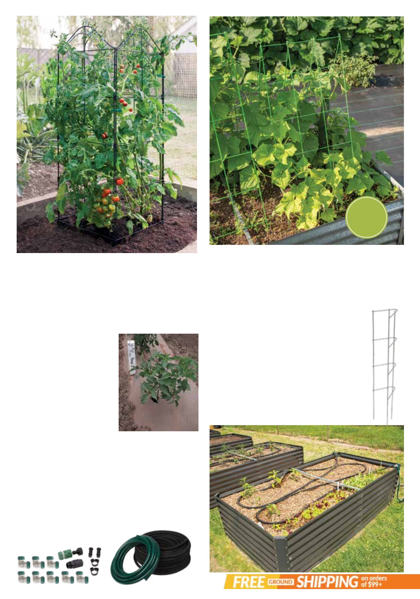 Gardener's Edge Gardener's Edge February 2026 Digital Catalog - Page 17
