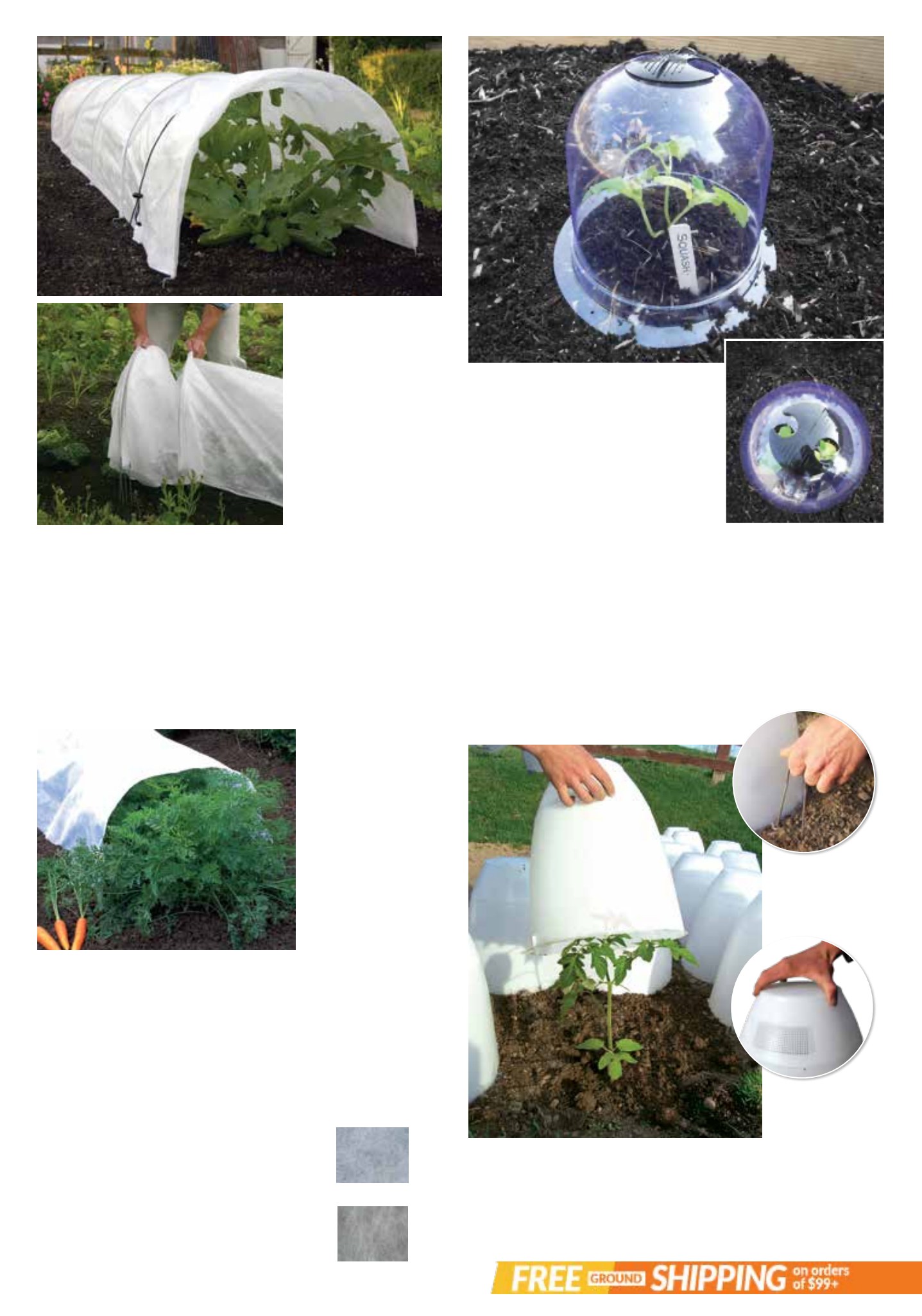 Gardener's Edge Gardener's Edge February 2026 Digital Catalog - Page 21