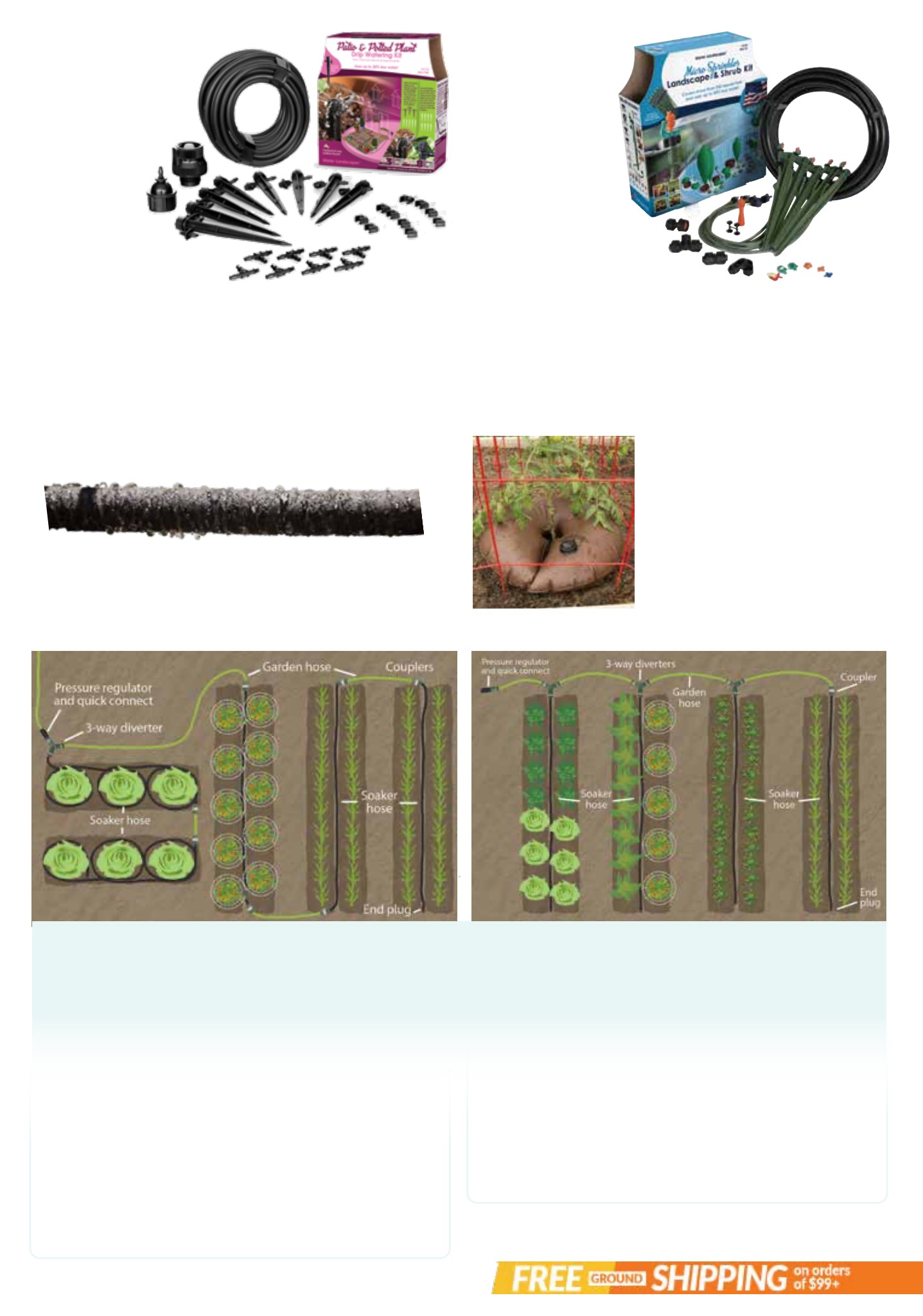 Gardener's Edge Gardener's Edge February 2026 Digital Catalog - Page 27