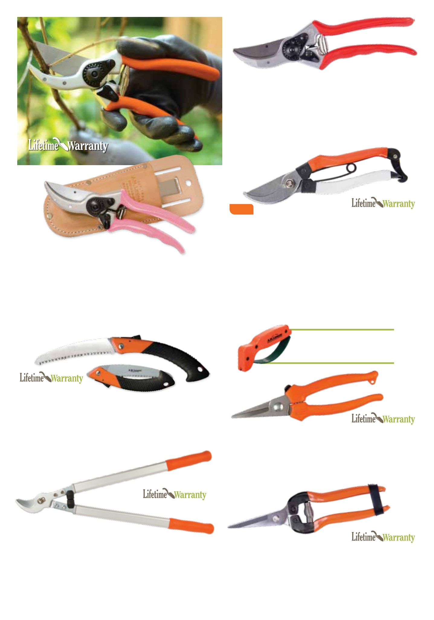 Gardener's Edge Gardener's Edge February 2026 Digital Catalog - Page 4