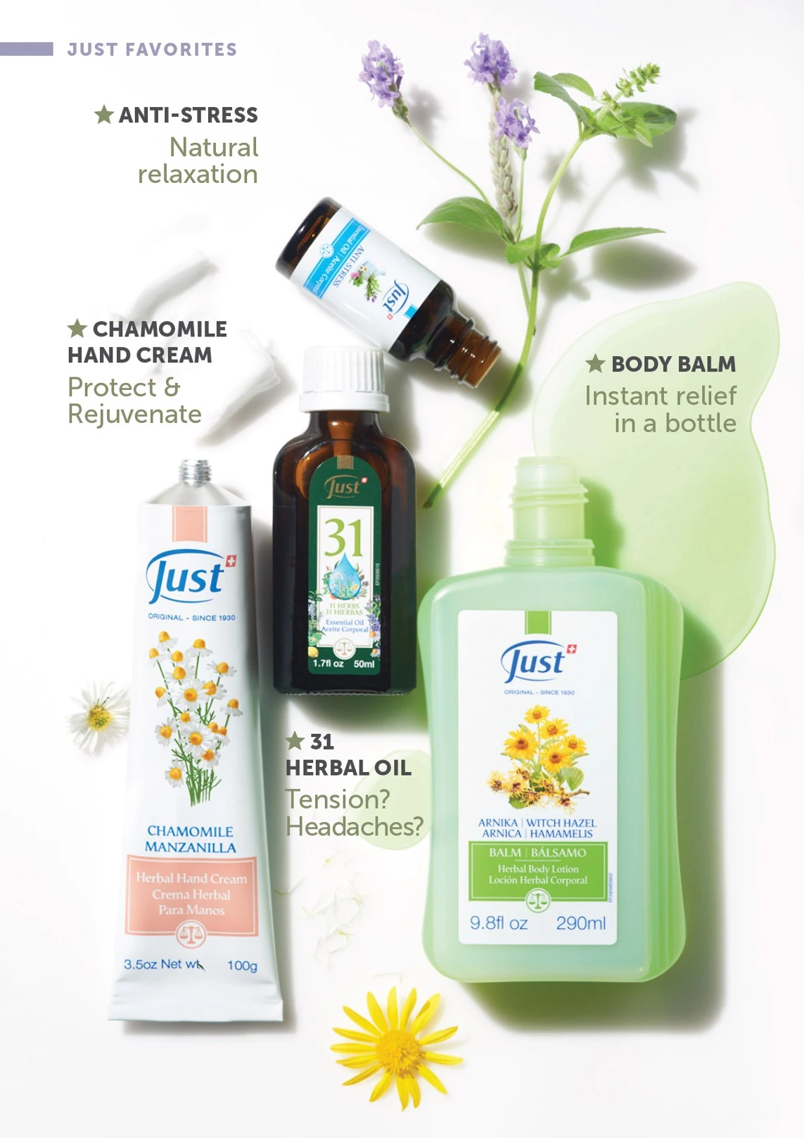 Flyer page 10