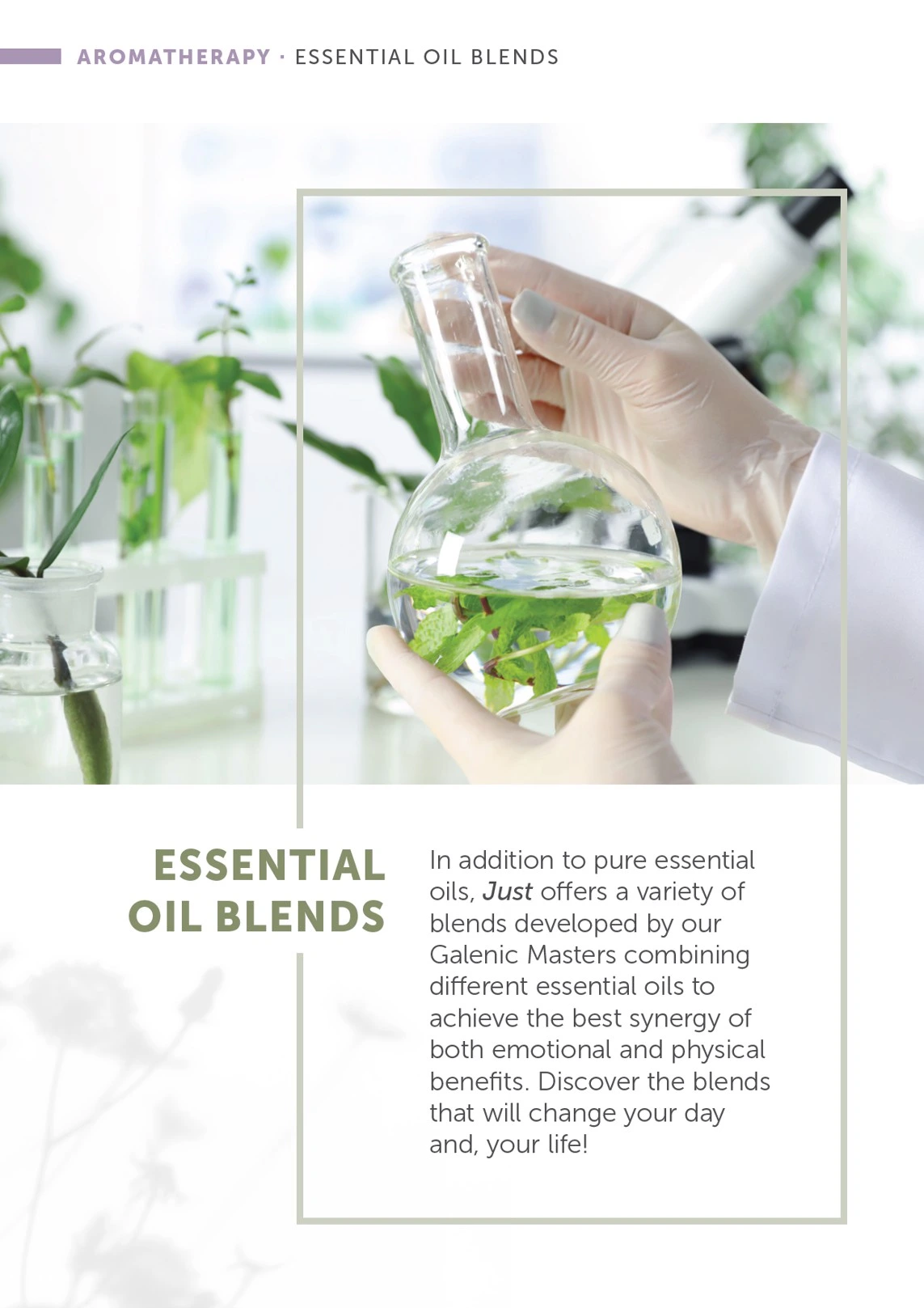 Flyer page 19
