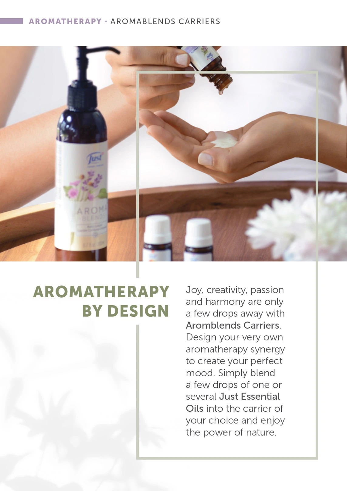 Flyer page 24