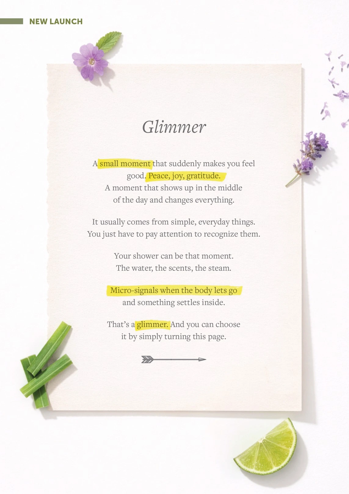 Flyer page 3