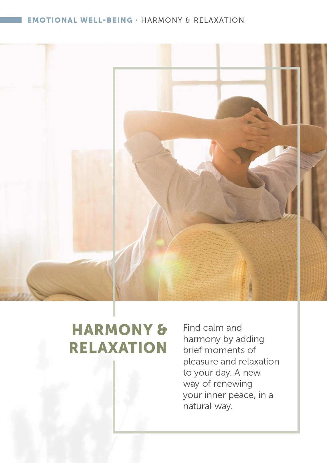 Flyer page 31