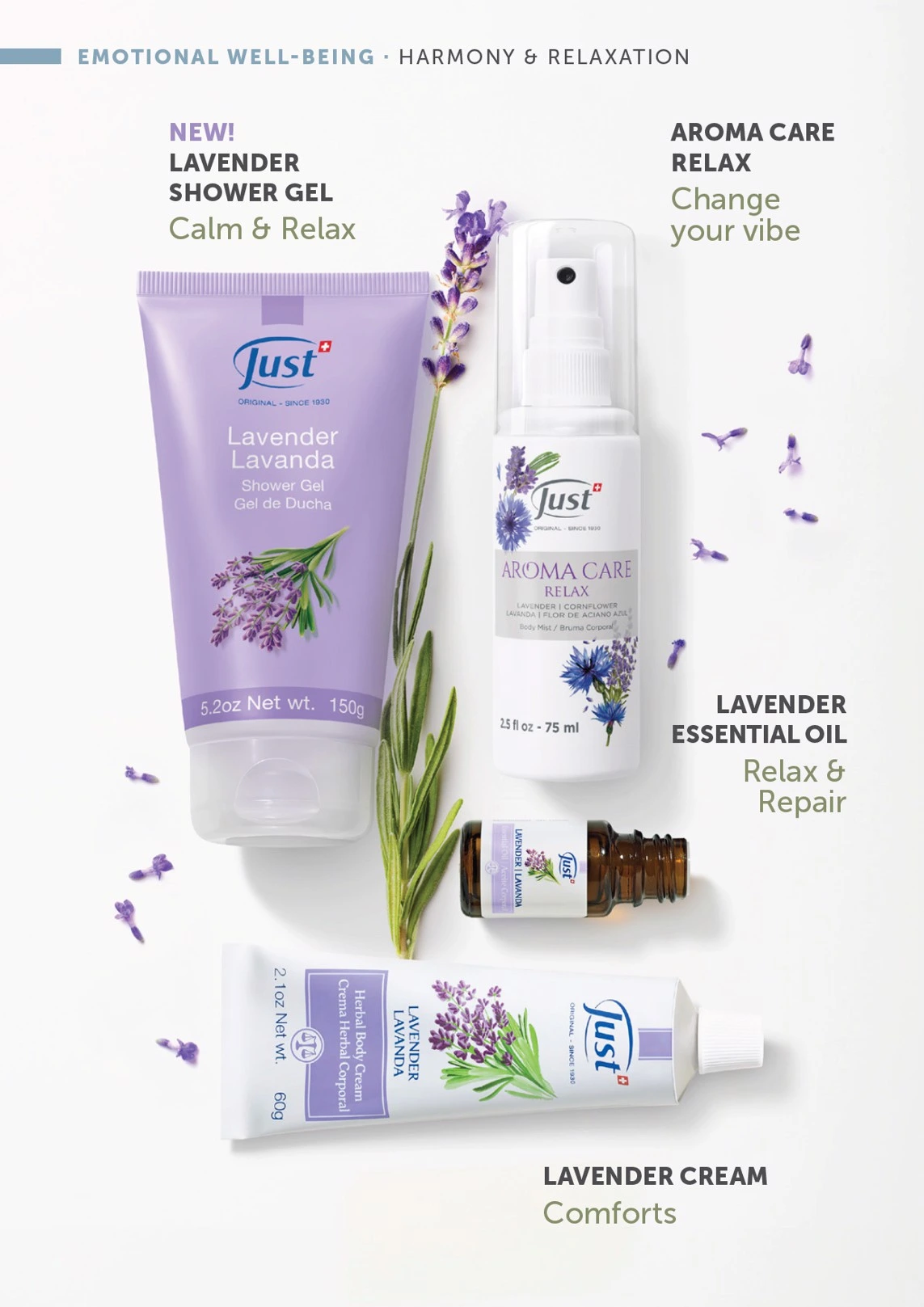 Flyer page 32