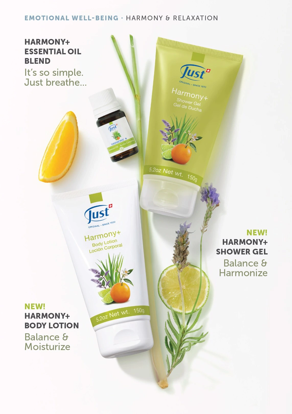 Flyer page 34